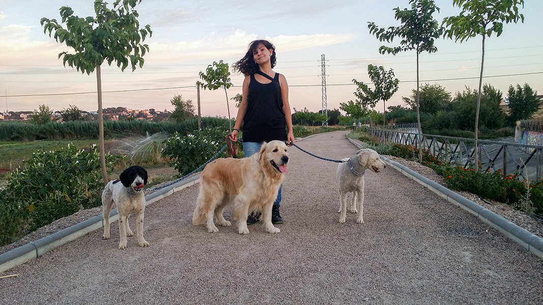 Garde de chien : faire appel à un dog sitter particulier