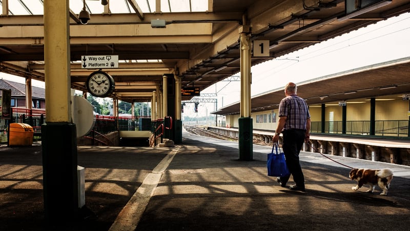 Prendre l’avion ou le train avec son animal de compagnie