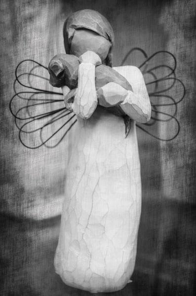 Vieux chien : que faire pour qu’il « parte » tranquillement