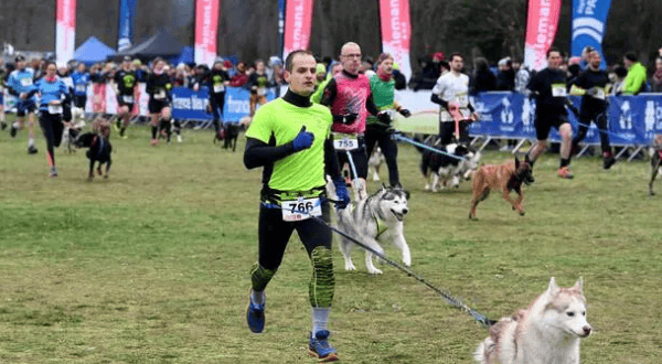 Canicross : courir avec son chien pour le plaisir et la santé