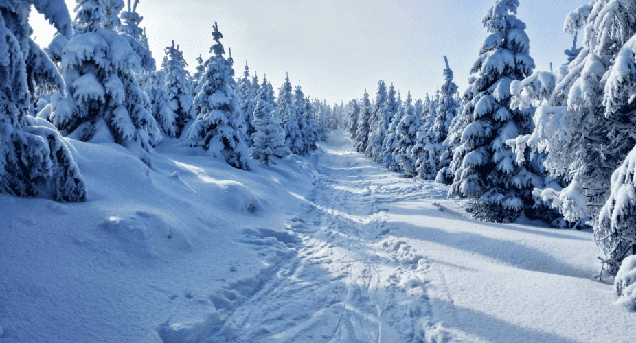 Préparez-vous à profiter pleinement de vos vacances à la montagne